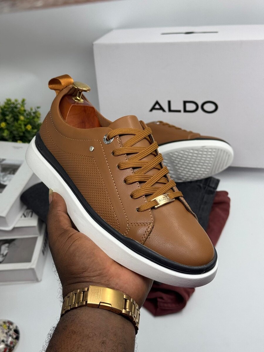 Aldo mens shoe