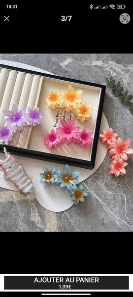 Pinces à cheveux fleurs colorées