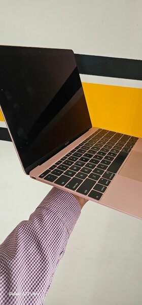 Macbook model A1534 2017