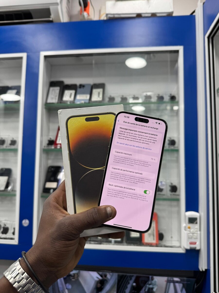 14 pro max 256giga 2 puces