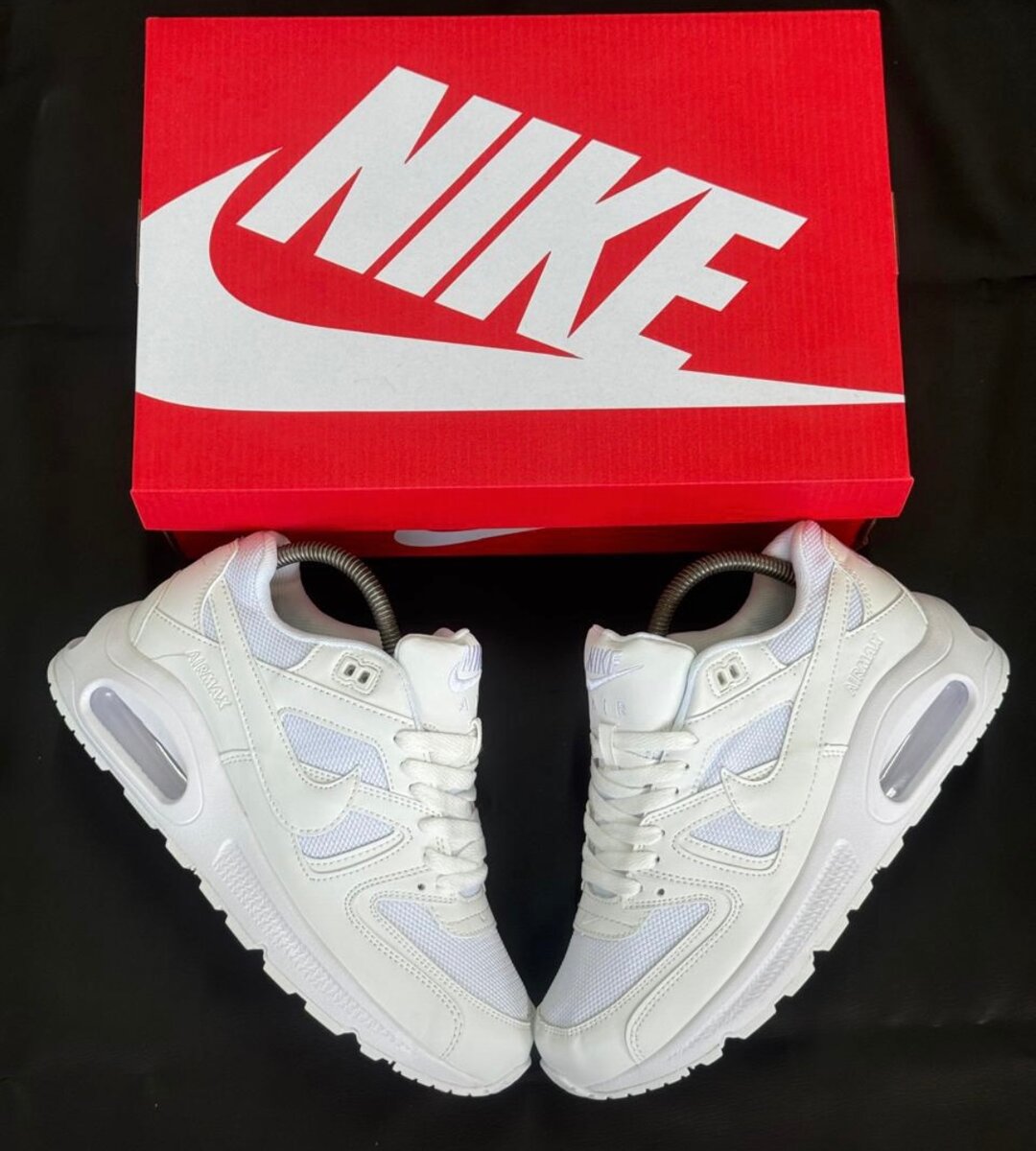 Nike Air Max Sneakers