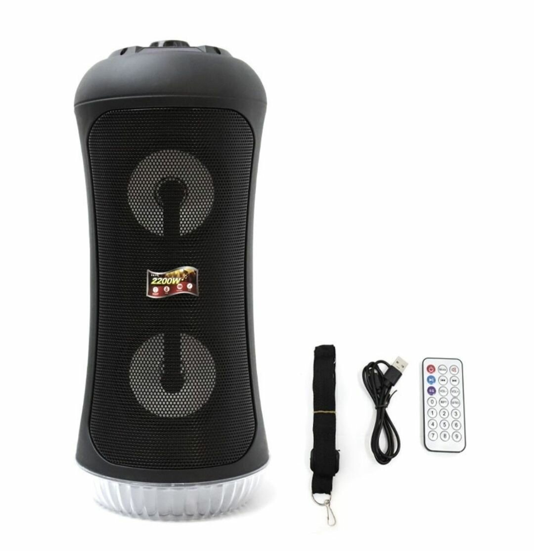 BETTER SPEAKER WITH CARRYING STRAP, AUX, USB, MICROPHONE INP