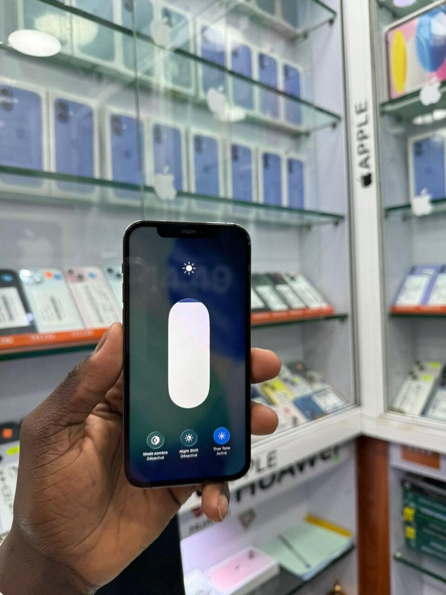 iPhone 12 Pro 256Go Reconditionné