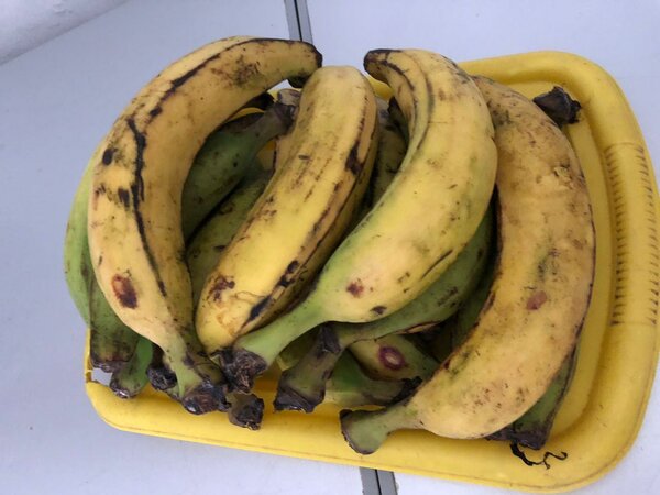 Bananes fraîches tropicales
