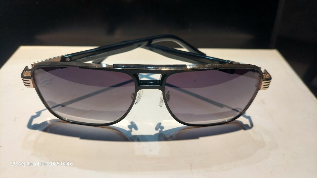 Lunettes de soleil rétro élégantes