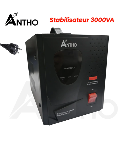 Stabilisateur Antho 3000VA