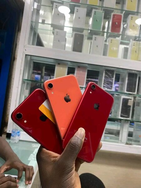 iPhone XR Rouge - Occasion