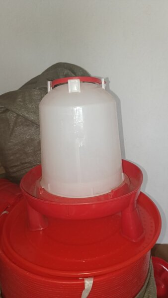 Abreuvoir à volaille plastique