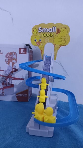 Small duck