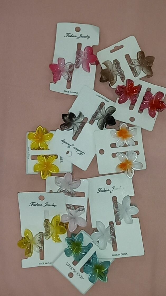 Duo petites pinces à cheveux