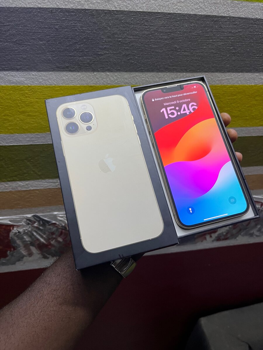 iPhone 13 Pro Max 256GB