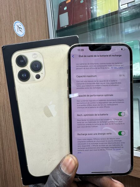 iPhone 13 Pro Max 256 giga