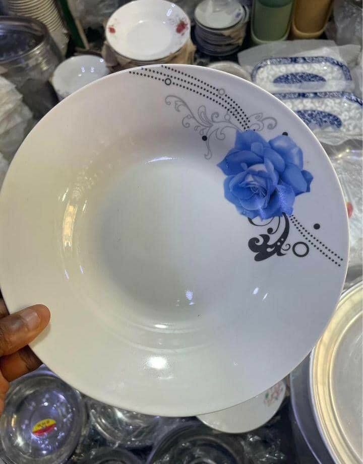 Assiette cassable 12 pièce