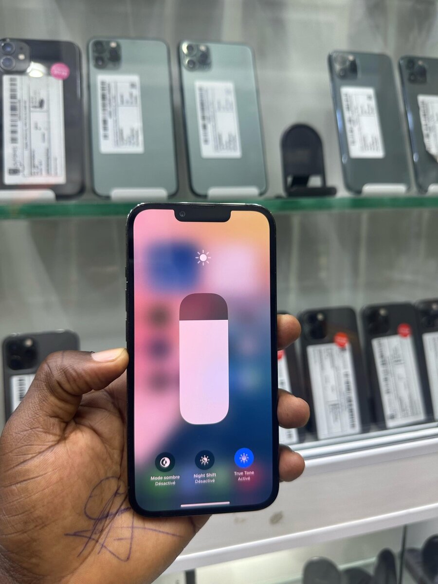 13 pro CE 256giga batterie cha