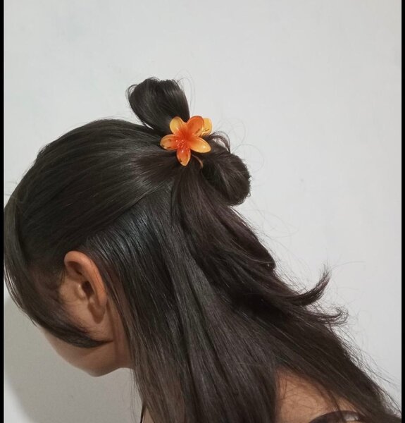 Clips à cheveux fleurs colorées