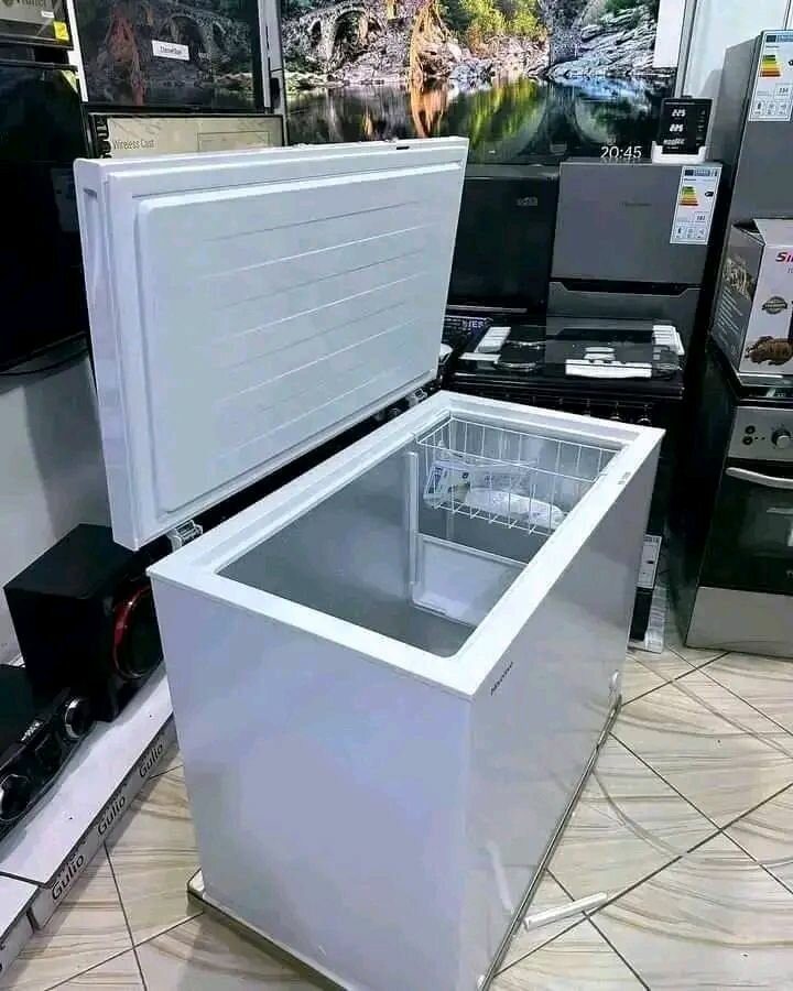 Conservateur à coffre 250L