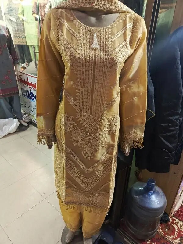 Ladies stitched fancy wear