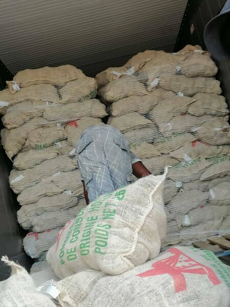 Pommes de terre bio fraîches