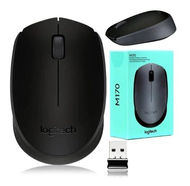 Souris USB Logitech M170