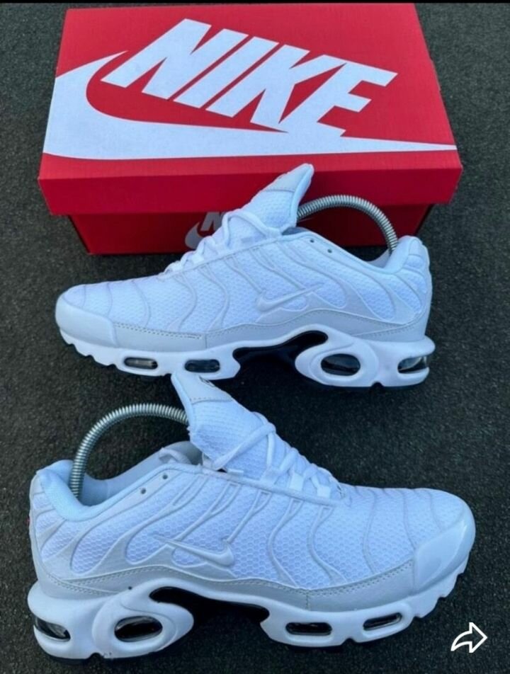 Nike Air Max Plus blanc
