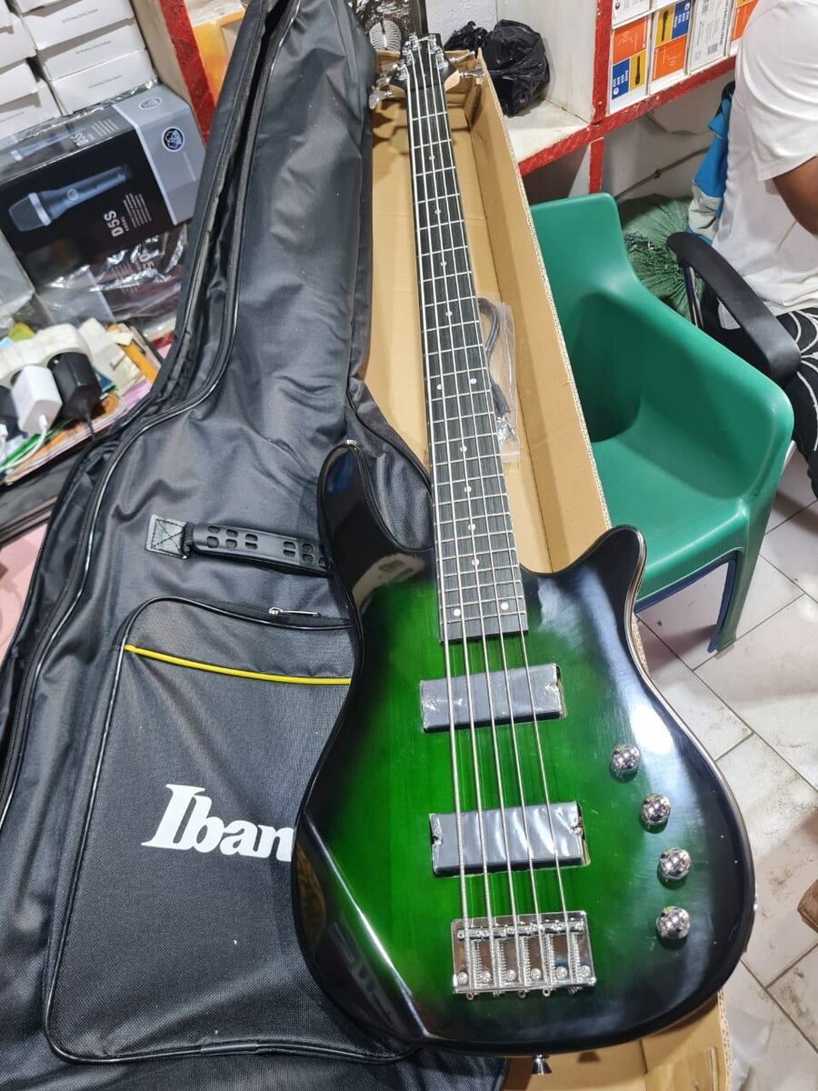 Guitare basse Ibanez 5+ housse