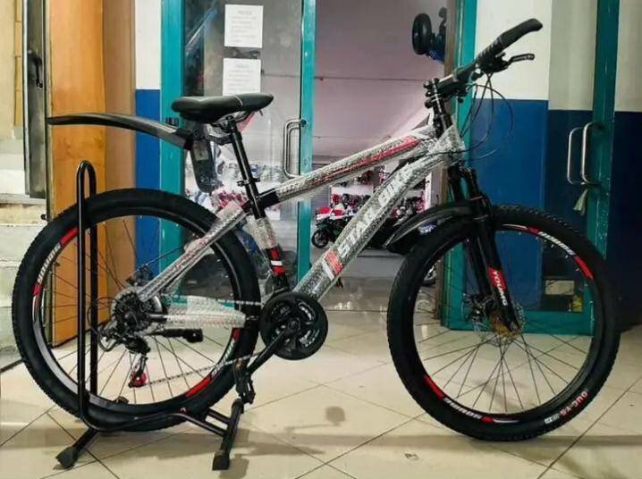 Vélo de montagne robuste