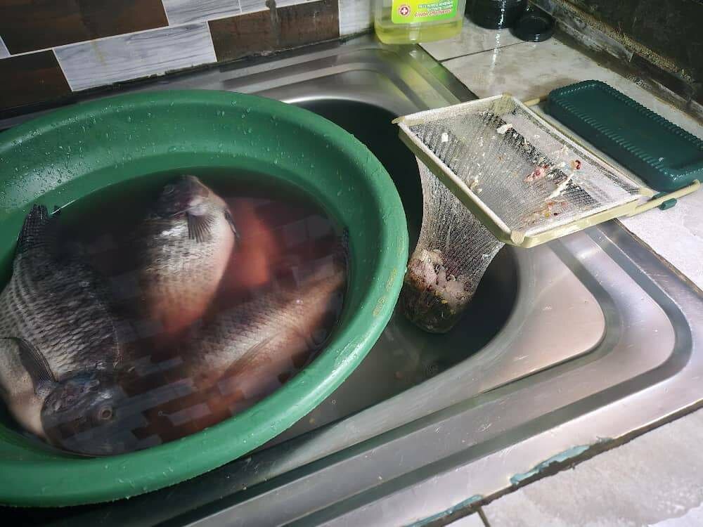 Évier panier égouttoir pliable