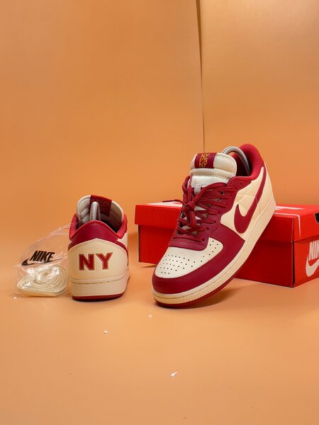 NIKE TEMINATOR
