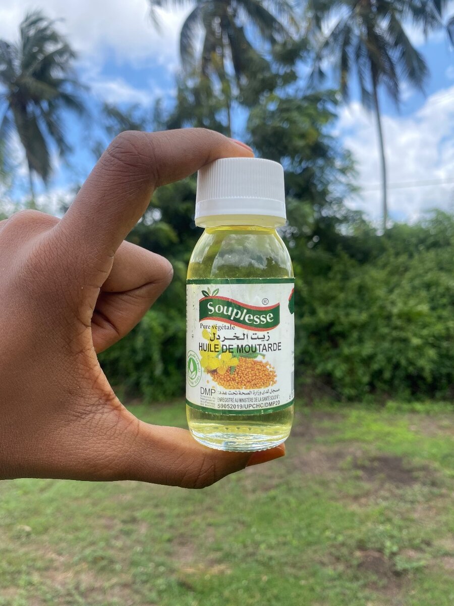 Bourrache - Moutarde - Moringa