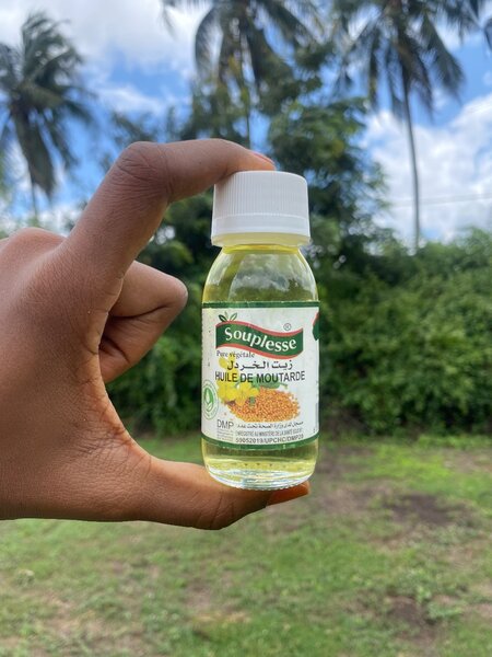 Bourrache - Moutarde - Moringa