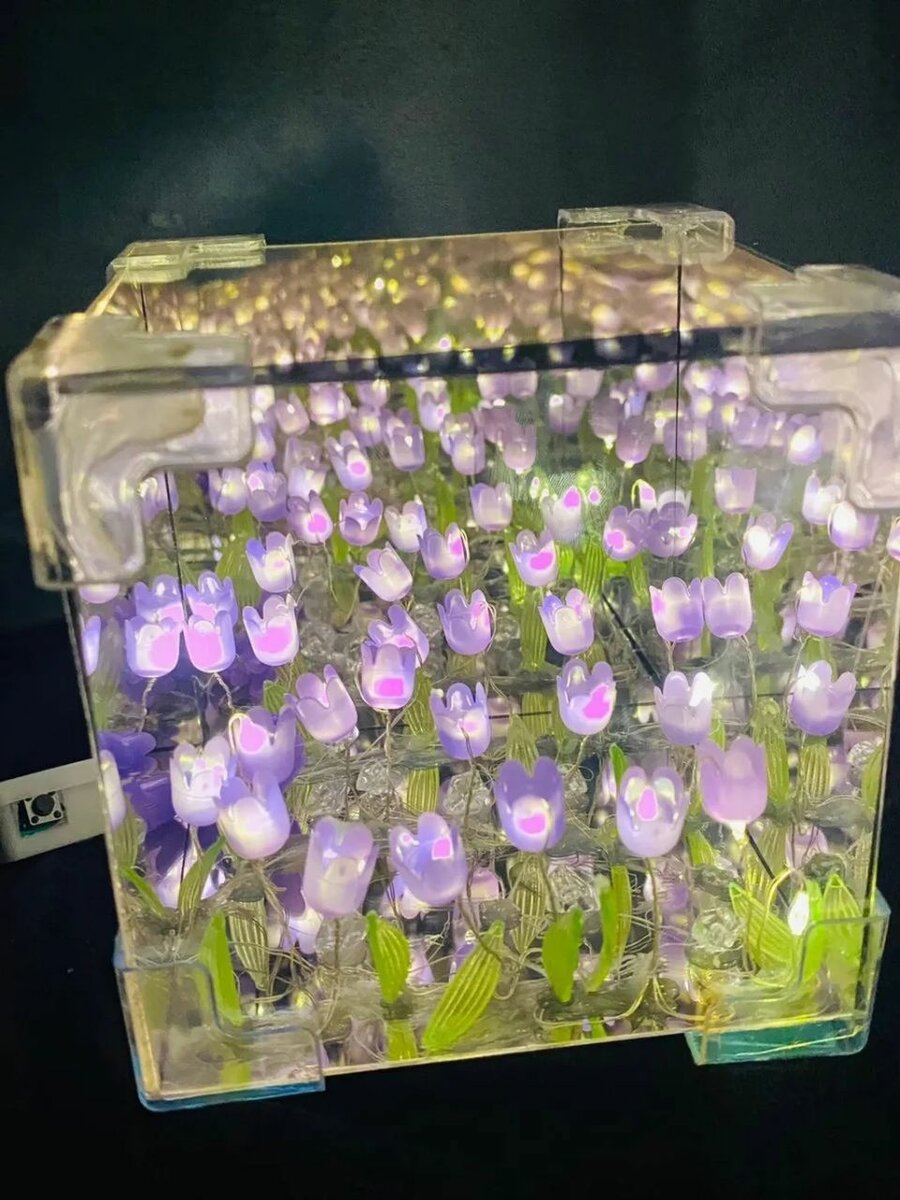 Бесконечные тюльпаны