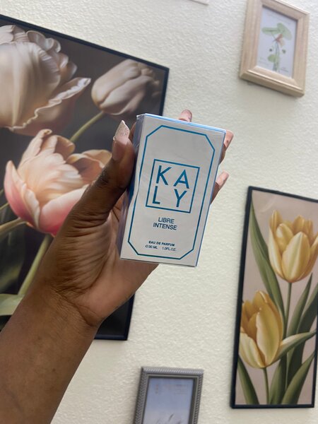 Dove Déodorant Frais 48H