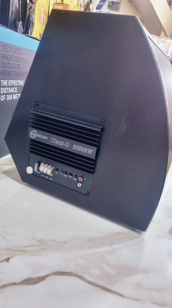  Car subwoofer