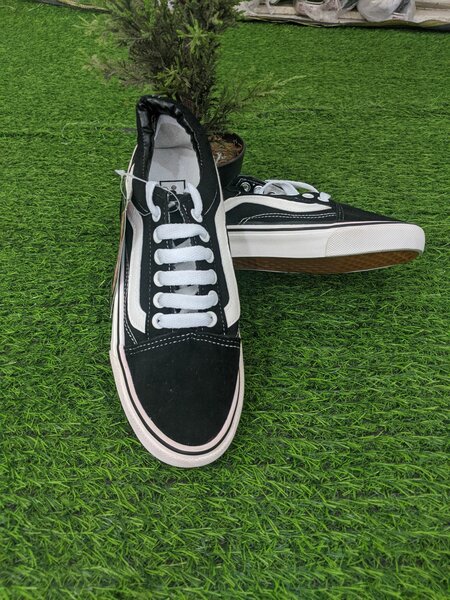 Vans and All  Star Converse