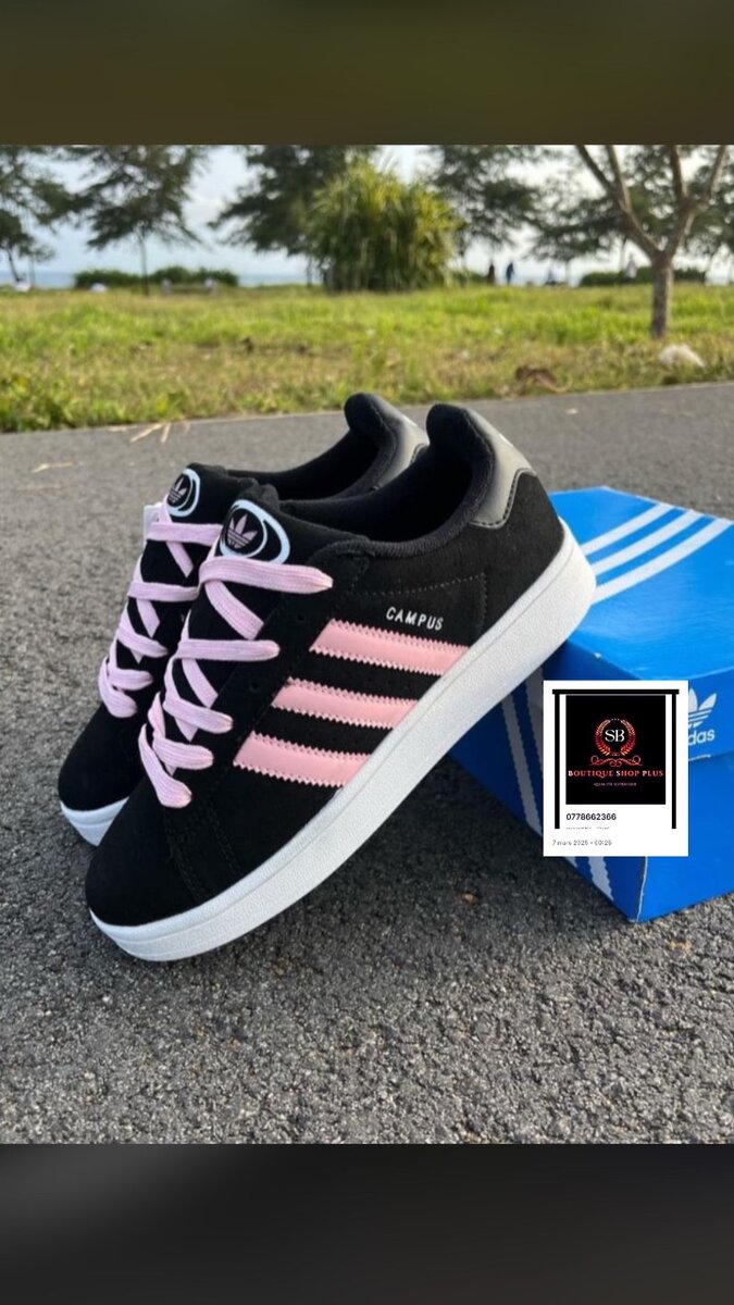 Basket adidas campus authentique avec sa boîte