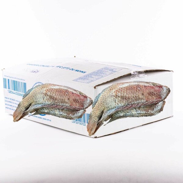 Carton carpe 300-500g 10kg