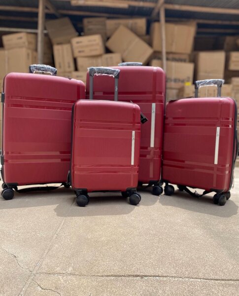 Exclusive Sanchez PP luggage