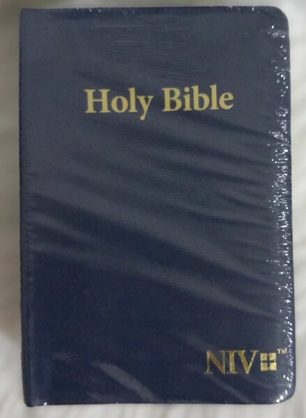 HOLY BIBLE (NIV)
