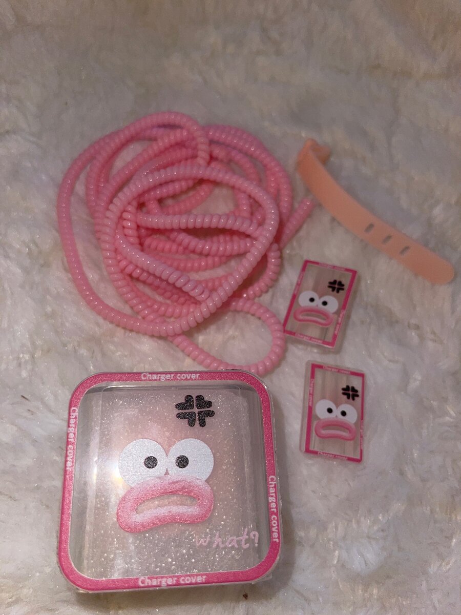 Protective iPhone charger protector