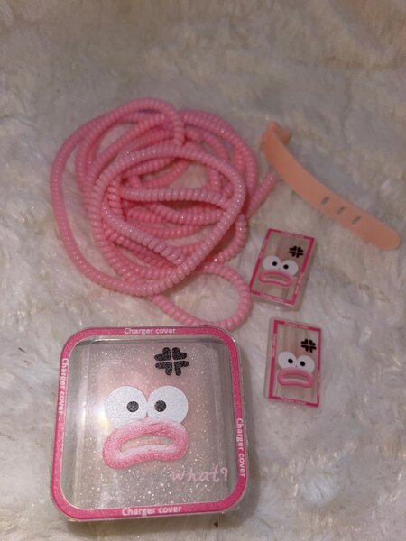 Protective iPhone charger protector