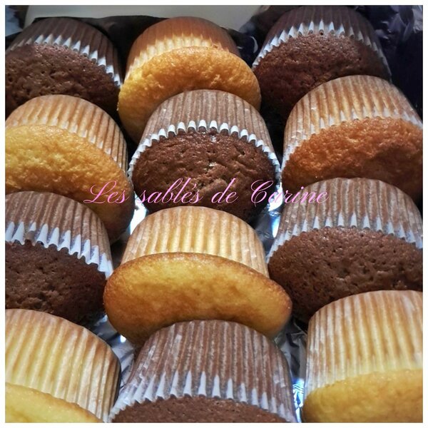 Mix mini cakes  (20p)
