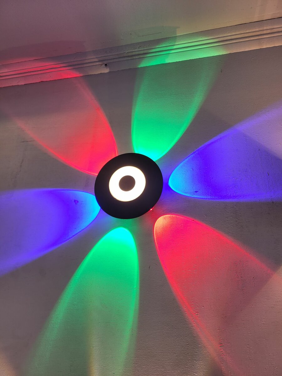 Surface and conduit ceiling light