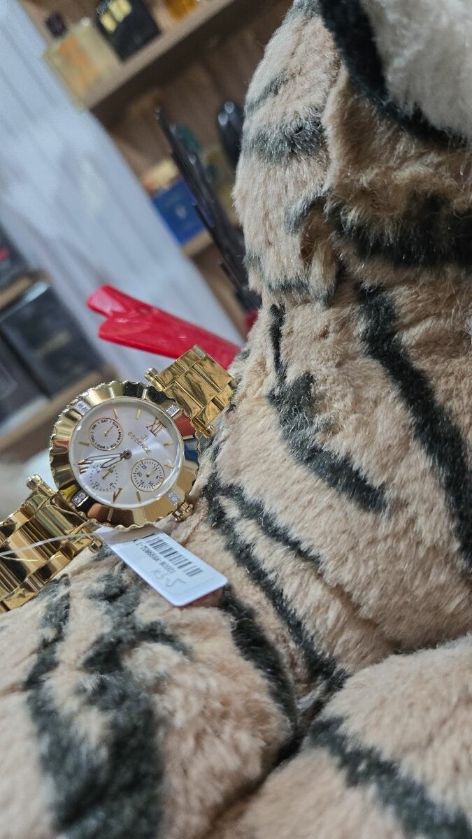 Montre élégante pour femmes