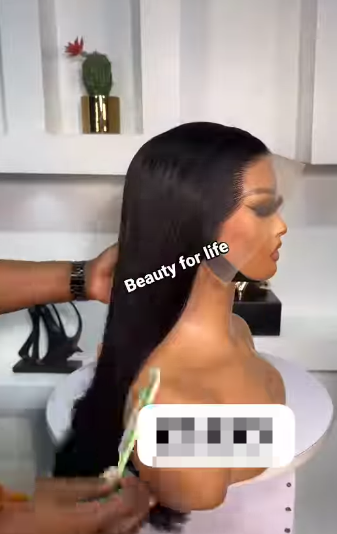 Vietnamese  Premium VSDD