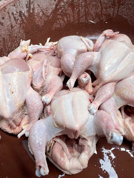 Poulet Frais Prêt à Cuisiner