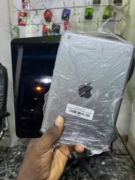 iPad mini 1