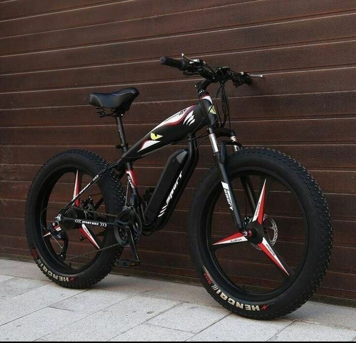 Vélo électrique tout-terrain