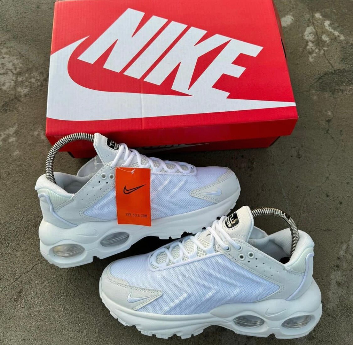 Nike Air Max Sneakers