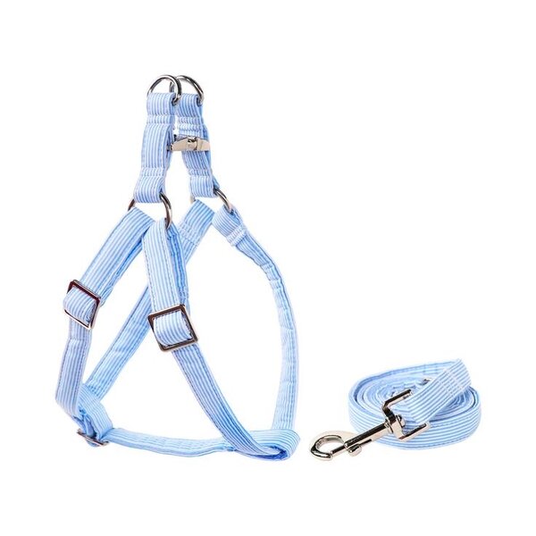 Harnais et laisse pour animal