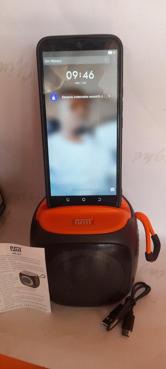Enceinte Bluetooth sans fil HM